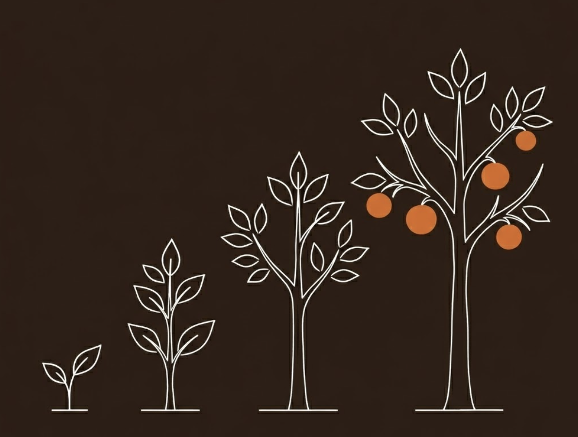 Implementar sistema de ventas B2B